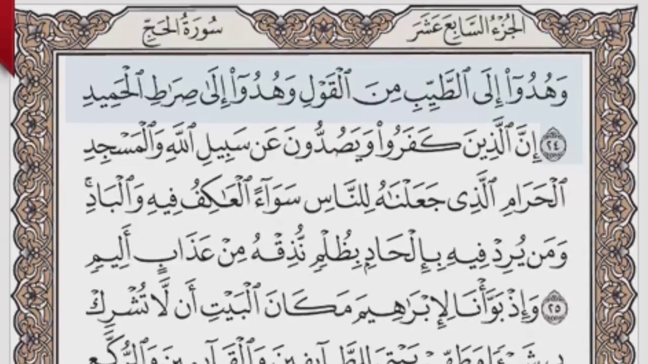 القرآن الكريم بالصفحات صوت وصورة ص/ 335 الشيخ محمود خليل الحصري بمد المنفصل