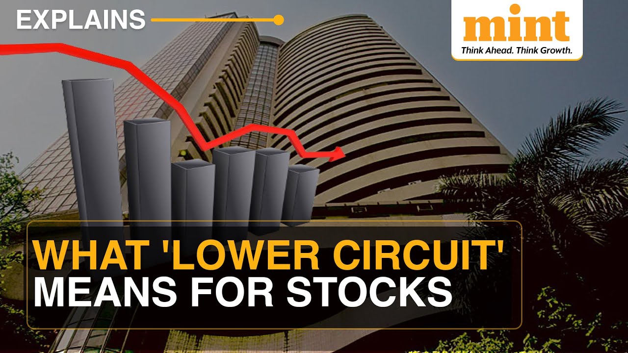Paytm Shares Hit Lower Circuit Again: What Is 'Lower Circuit' In The Stock Market? | Explained