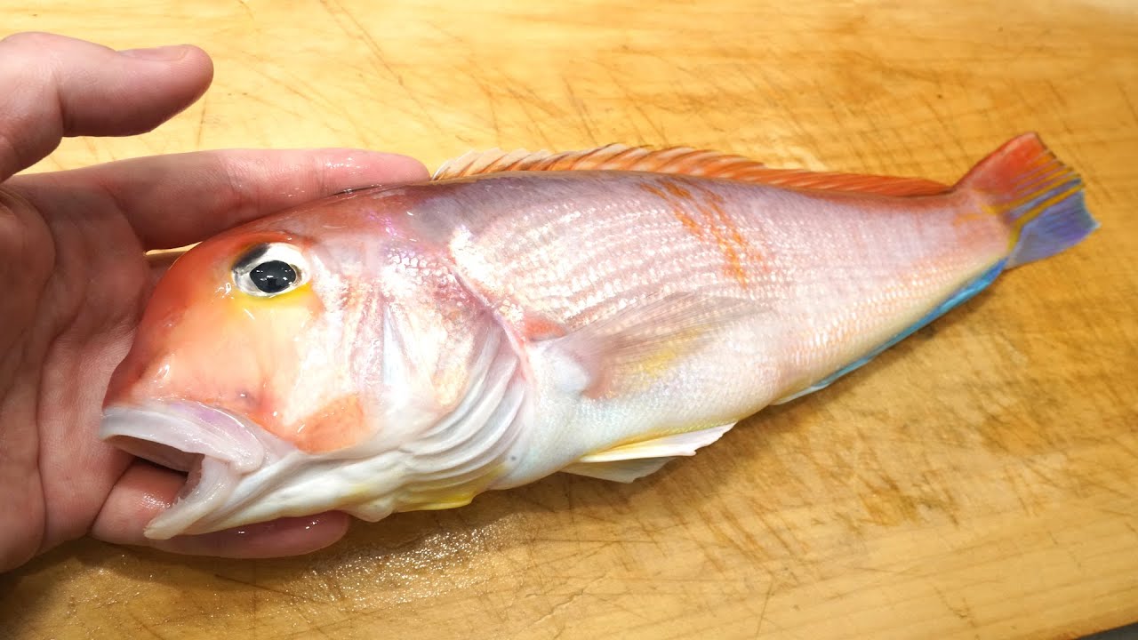 アマダイのさばき方と刺身（昆布締め）　　Sashimi of tilefish