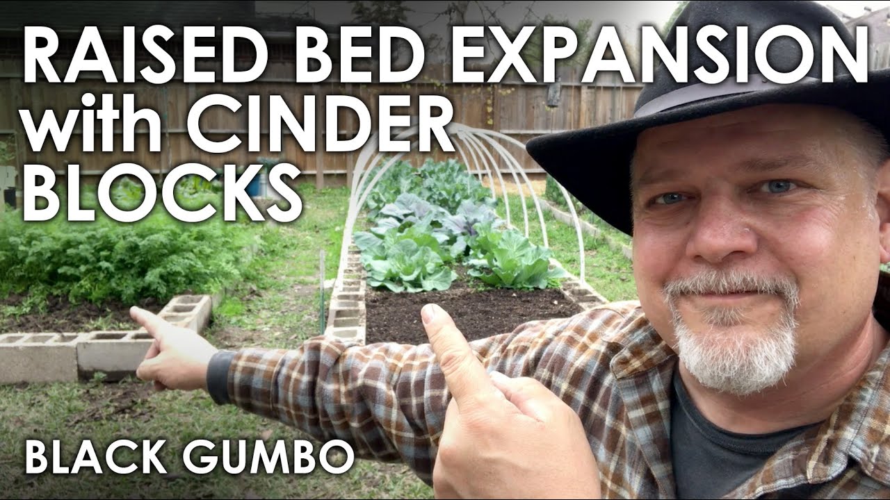 Raised Bed with Cinder Blocks - Expansion Project || Black Gumbo