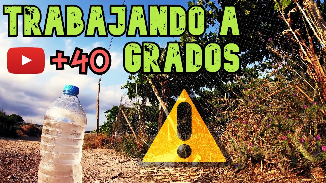 Campaña de Uva Despampanando y Descolgando Uva 4K || Vlog de Trabajo # 8