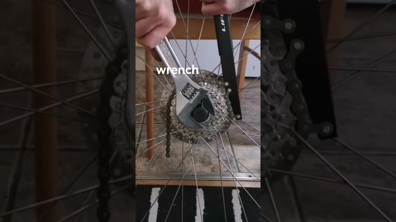 4 THINGS YOU NEED to remove your Shimano freehub cassette 
