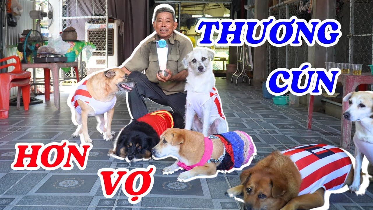 Gia đình cún thông minh và tài năng nhất Việt Nam - ĐỘC LẠ BÌNH DƯƠNG