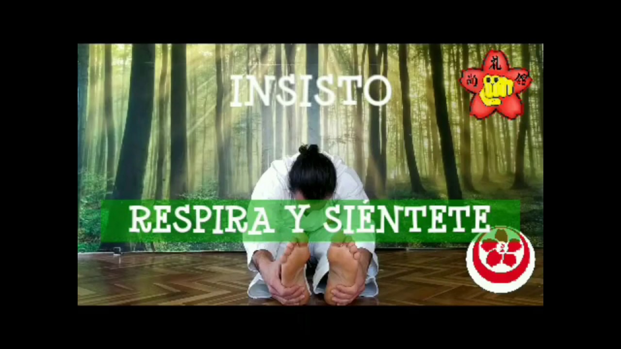 #YoMeQuedoEnCasa. SHOREIKAN. KAISAIDO. DARUMA TAISO