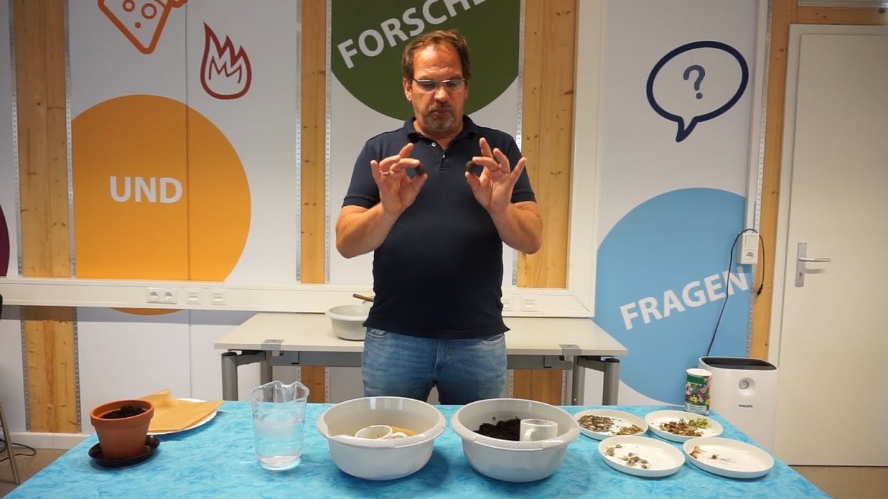 Seed Bombs oder Samenbälle selbst herstellen