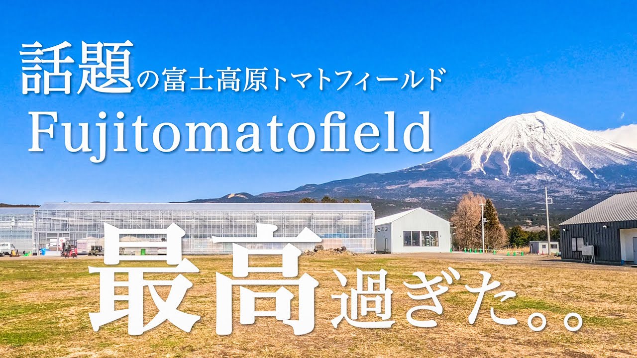 【Camp】話題の富士高原トマトフィールド（トマトっぱら）は最高だった