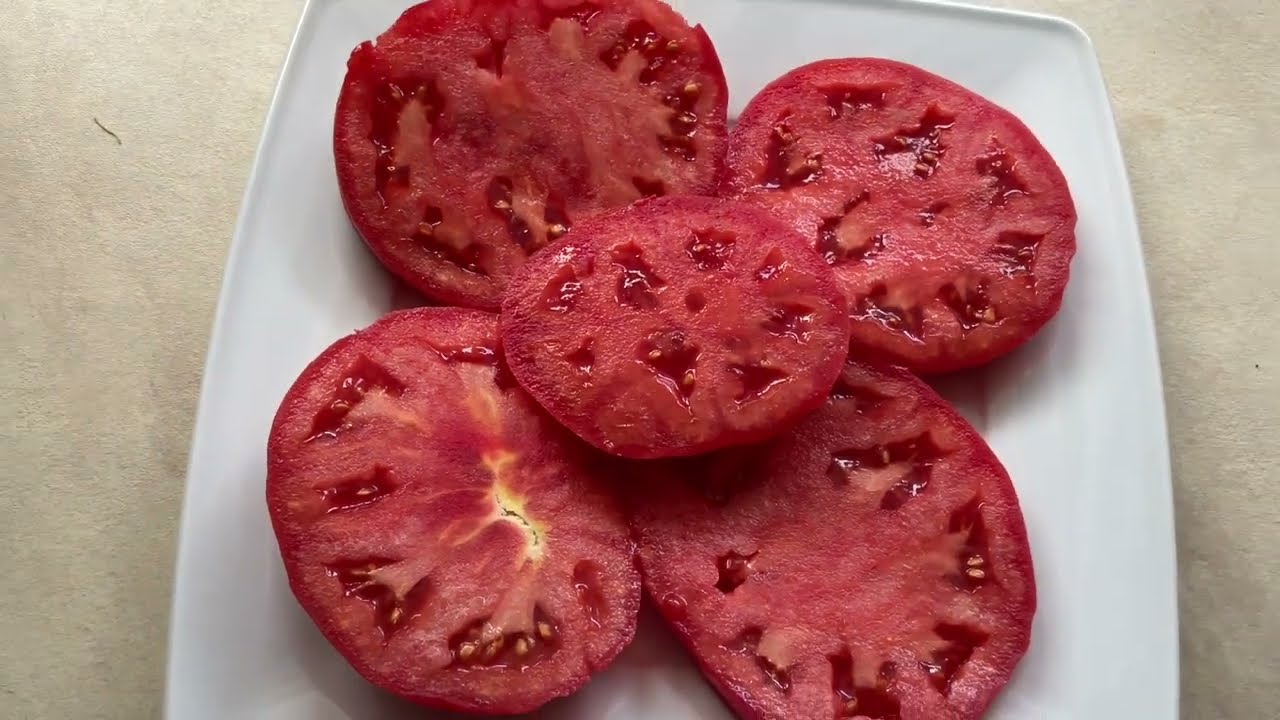 💖POMIDOR HEKTOR🍅PLENNY DUŻY OKAZAŁY SILNY KARŁOWY SŁODKI SMACZNY TWARDY DOSKONAŁY PRZETWORY #tomato