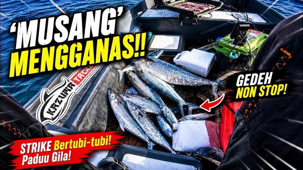 Diasak TENGGIRI MUSANG on bot 15 kaki[DFV34]