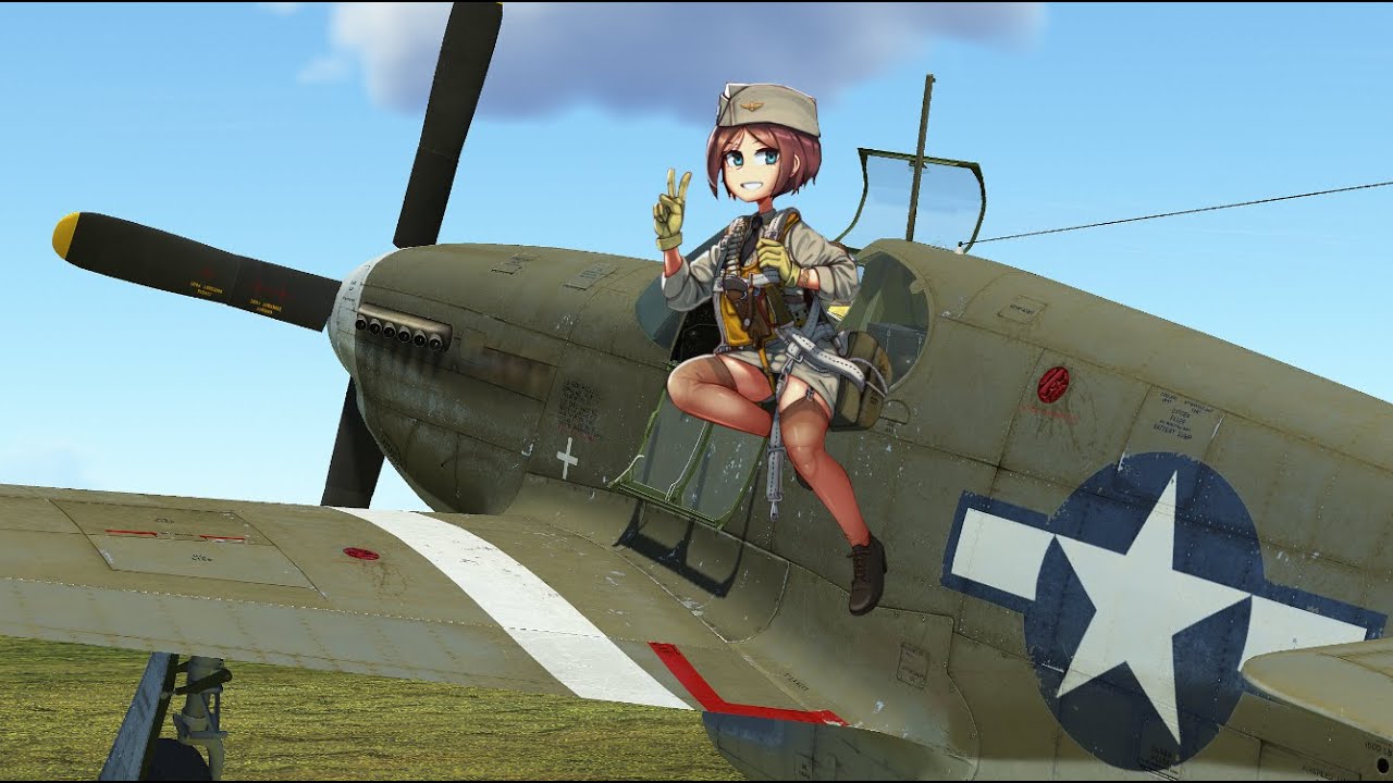 P-51B | 6 Kills in Flight | Go Wild
