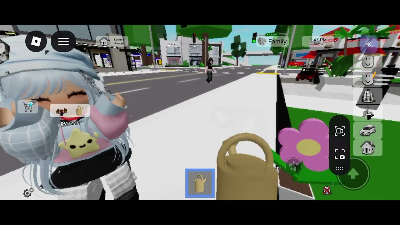 Roblox agi eka