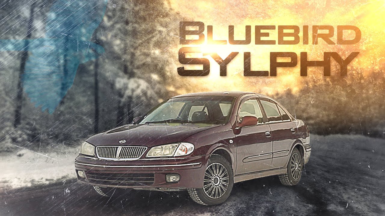 Nissan BLUEBIRD sylphy / corolla на максималках