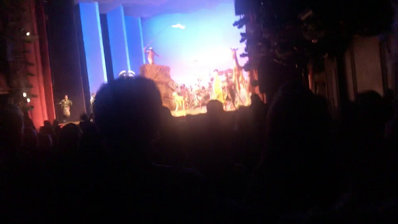 The Lion King Musical - London Cast - West End Cast - Final Bow - curtain call