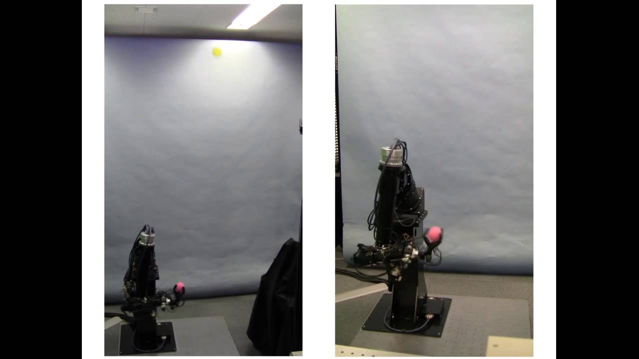 High-Speed Robot