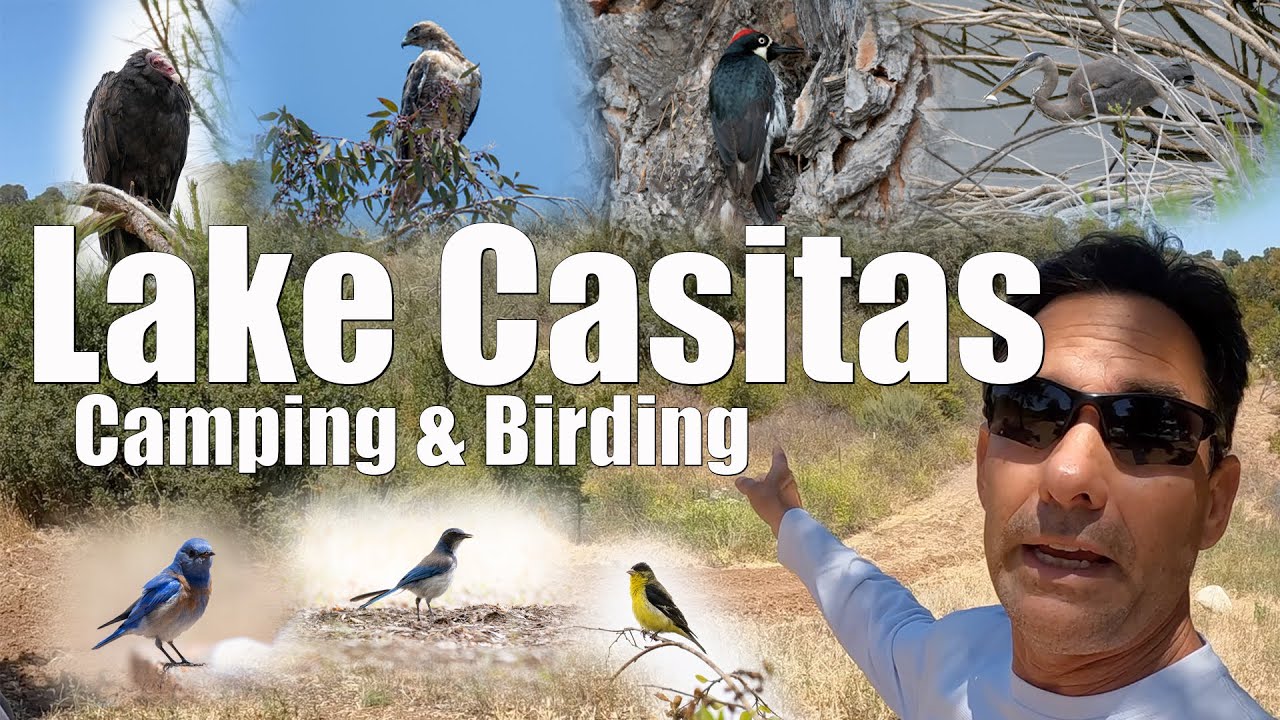 Lake Casitas Camping and Birding Locations Around the Shoreline