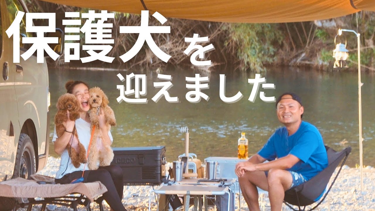 【保護犬】新しい家族が増えました！