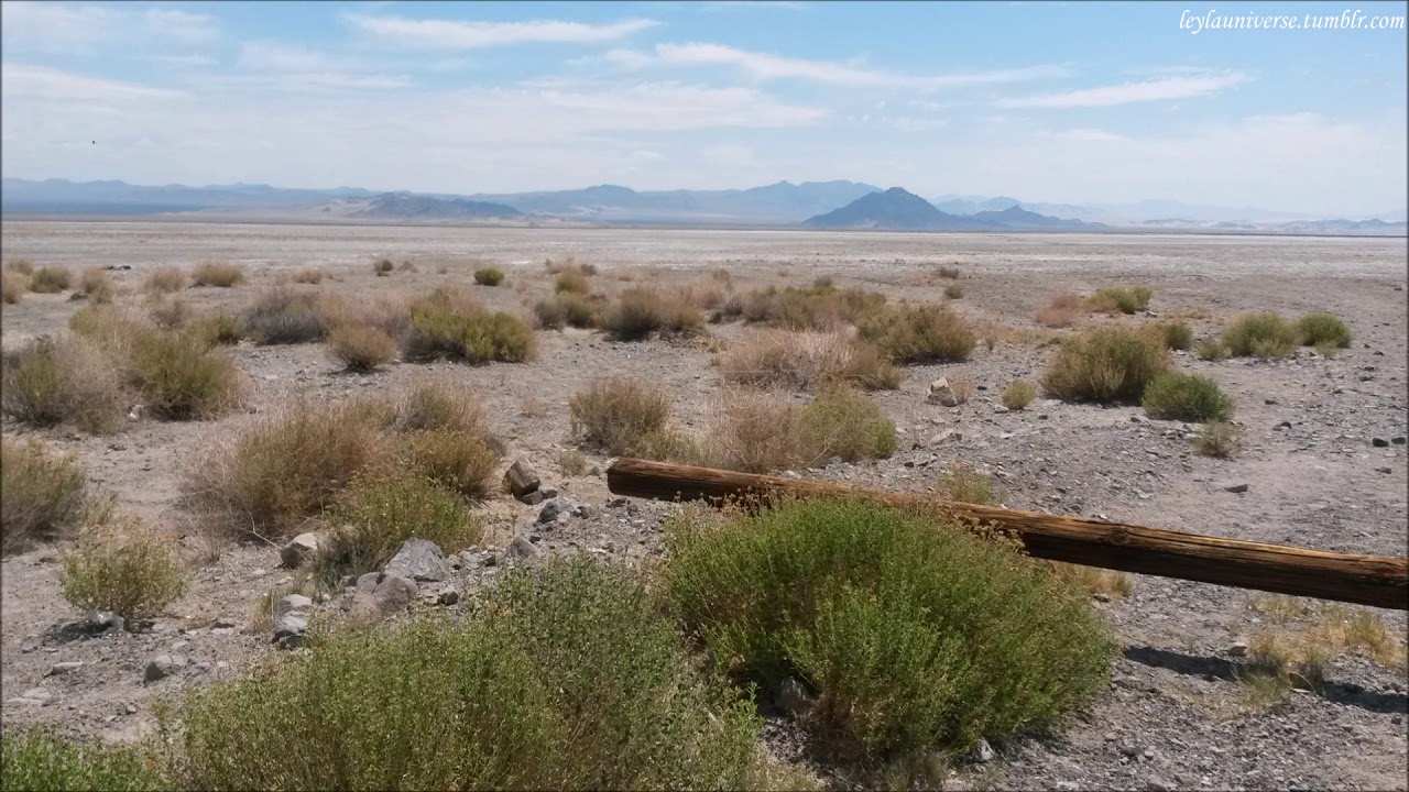 Lost Weekend Western Swing Band - Let's ride into the sunset... (Fallout NV / Mojave Music Radio)