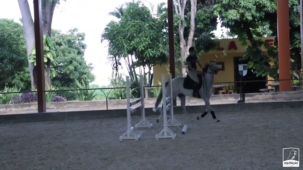 Dicas de exercícios usando obstáculos da pista