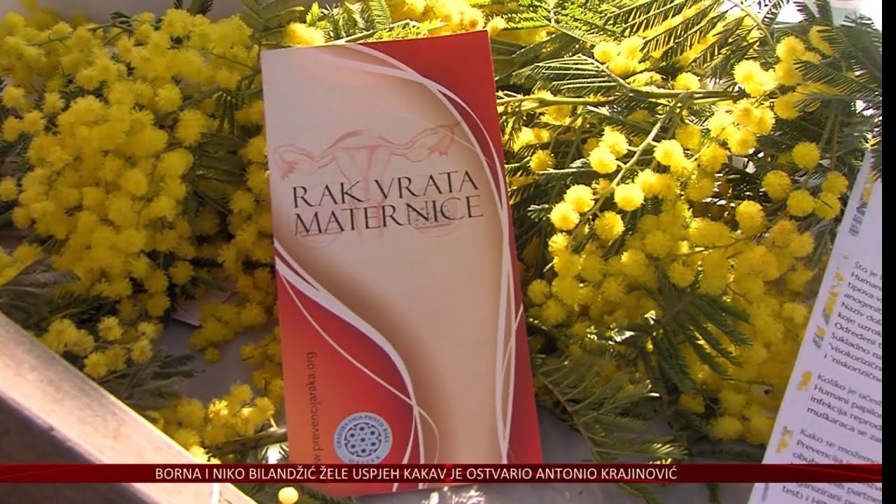 Dan mimoza - redoviti pregledi i cijepljenje ključni su u borbi protiv raka vrata maternice