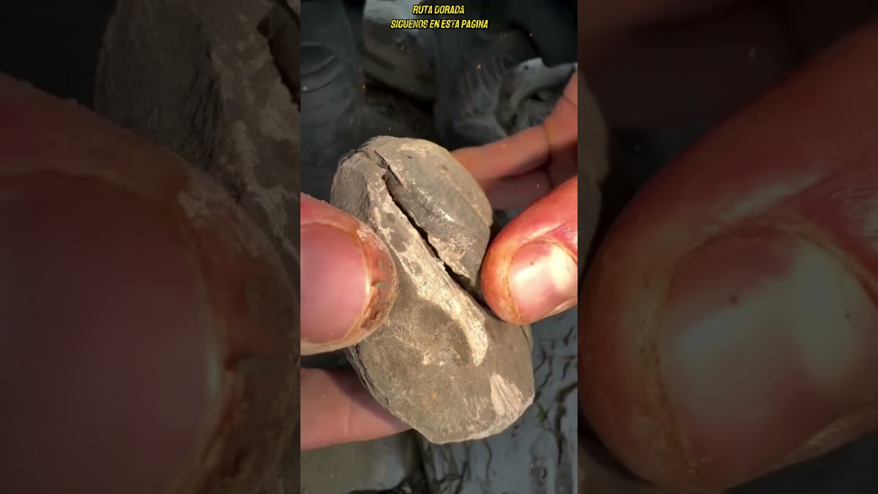 &iexcl; SORPRENDENTE ! TESOROS ATRAPADOS EN ROCAS SEDIMENTARIAS, 