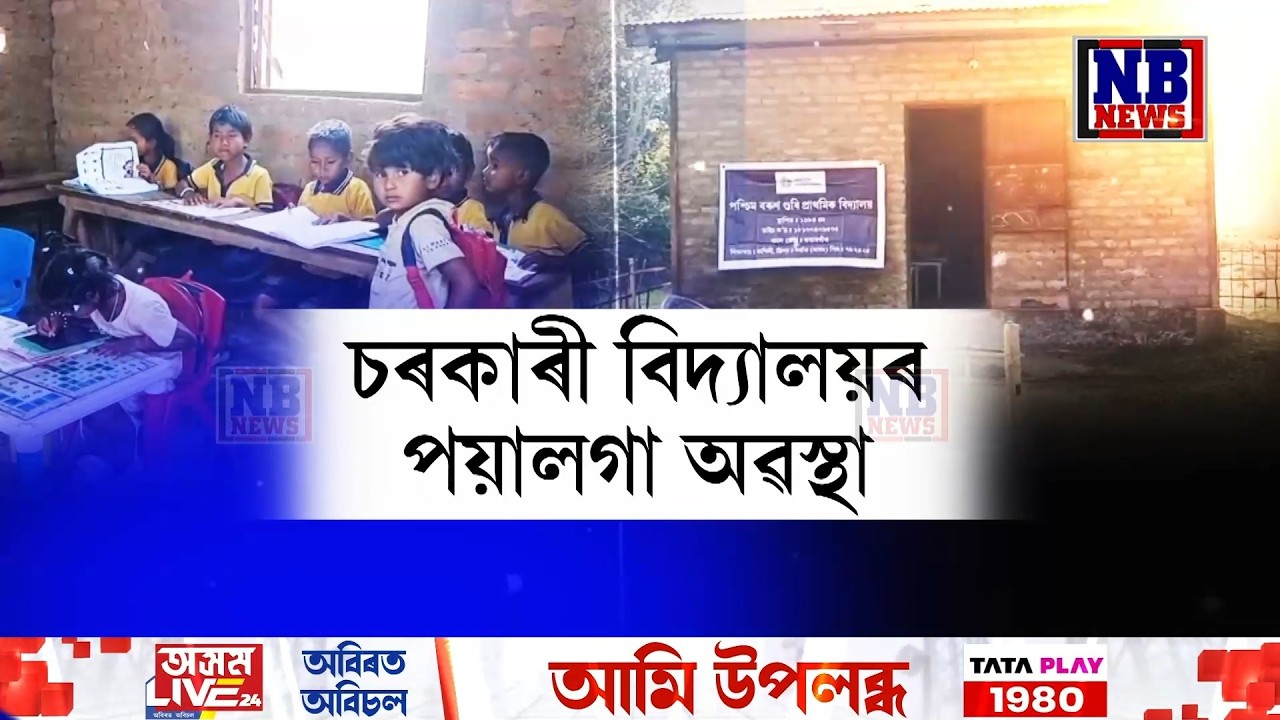 কোন দিশে ৰাজ্যৰ শিক্ষা ব্যৱস্থা? চৰকাৰী বিদ্যালয়ৰ পয়ালগা অৱস্থা।
