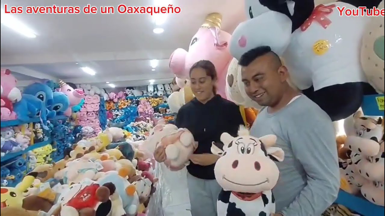  El día de hoy  mi Dana me llevo a conocer el mundo 🌎 de los peluches 🧸🐻🧸🐻