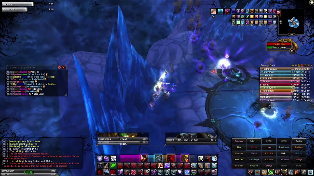 Dignity - ICC 25 HC Lich King Encounter MM Hunter PoV