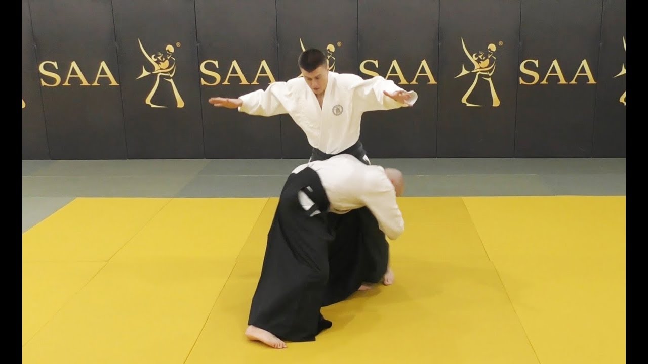 Aikido 🈴 Ude Garami 💠 Instructional