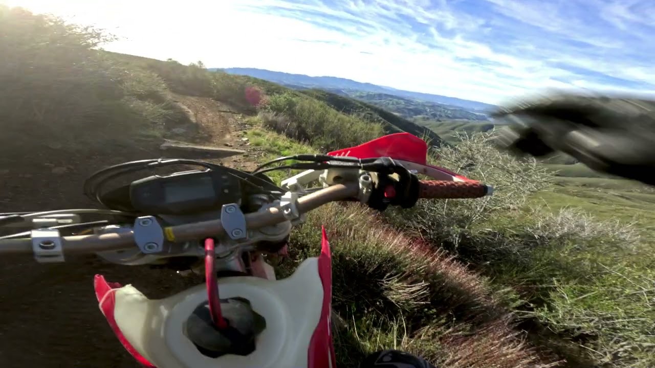 King Snake Is No Joke | 