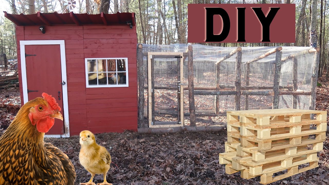 | DIY | PALLET CHICKEN COOP | Dismantle Pallets FAST! |
