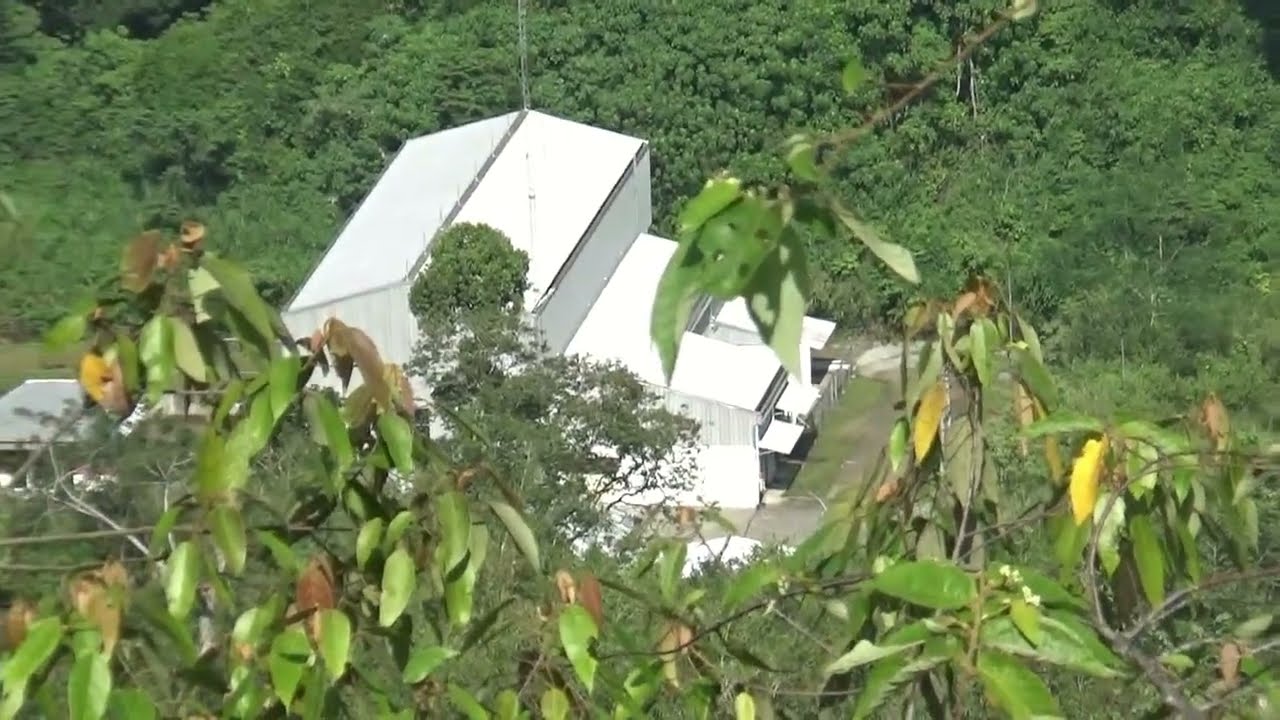 Cek Bangunan megah di tengah Rimba..