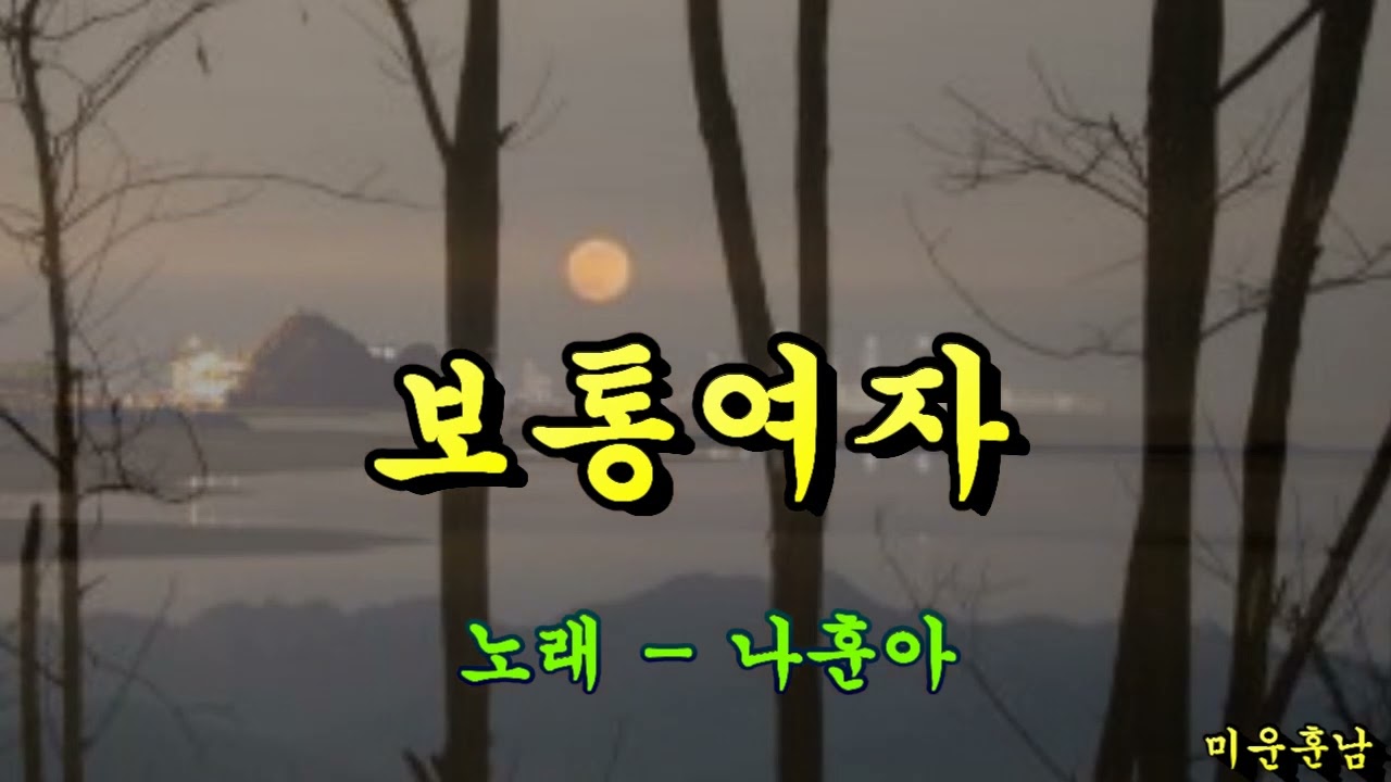 보통여자  -  나훈아