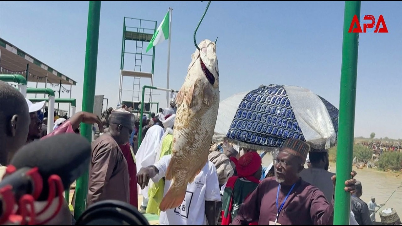 Nigeria: une prise de 59 kilos au festival des pêcheurs d'Argungu