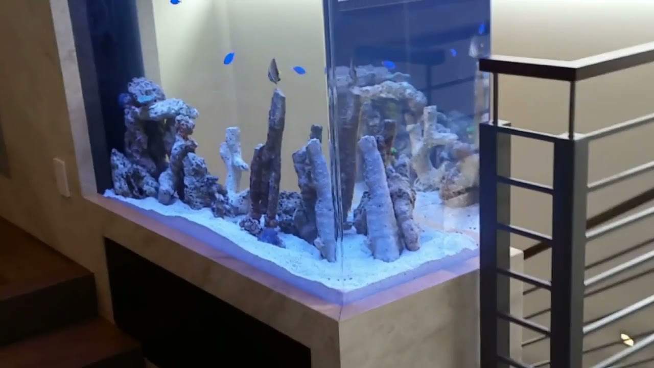 200 gallon live rock fish only saltwater aquarium design in Redondo Beach CA | Fish By Design OC LA