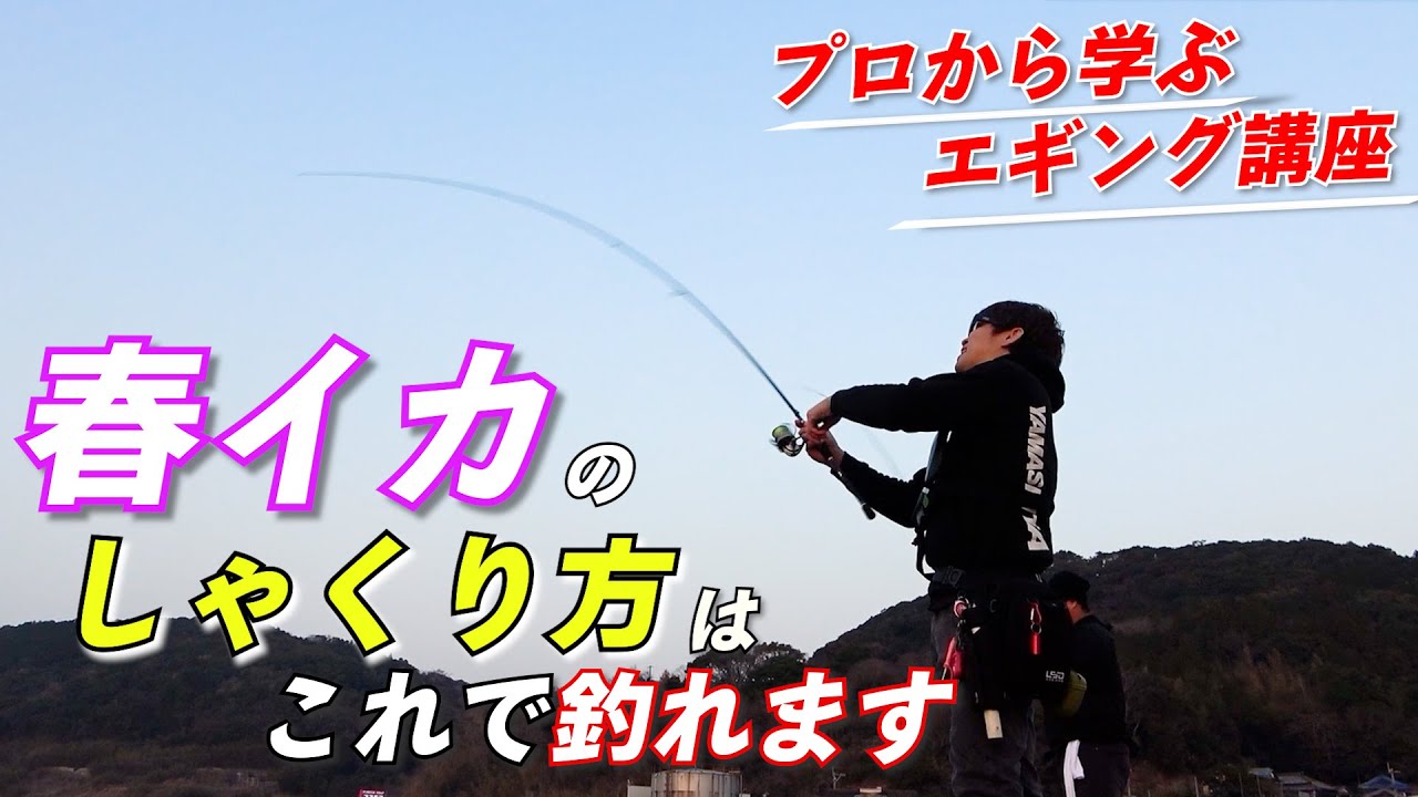 【必見】春エギングはこのシャクリが出来れば釣れます！春イカ入門者へ送るエギのしゃくり方、ロッドを折らないための抜き上げ方