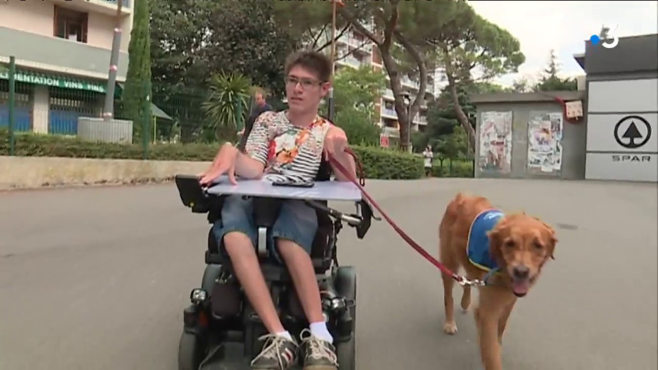 A Toulouse, un jeune handicapé privé de son chien d'assistance dans un supermarché
