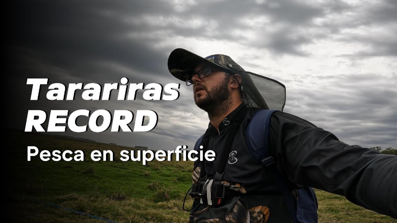 Un día para romper récord pesca de tarariras en superficie