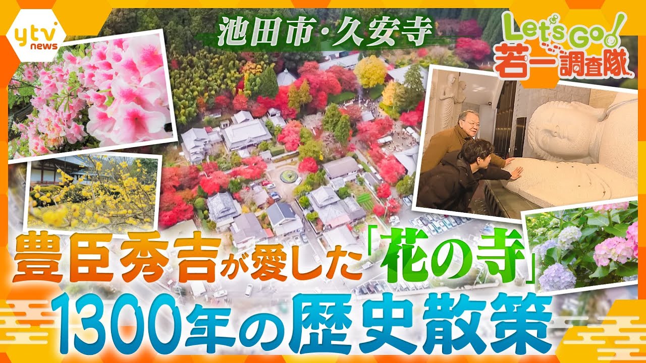【若一調査隊】豊臣秀吉が手植えした大木がお出迎え　四季折々の花々が美しい1300年の歴史をもつ古刹・「久安寺」の魅力を徹底調査！