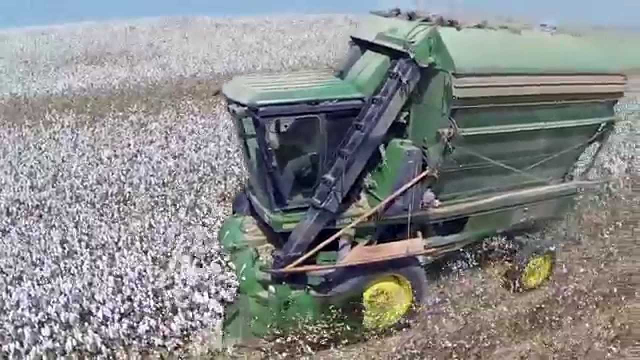 גד״ש בית ניר, קטיף כותנה 2015 Cotton Harvest Bet Nir, ISRAEL