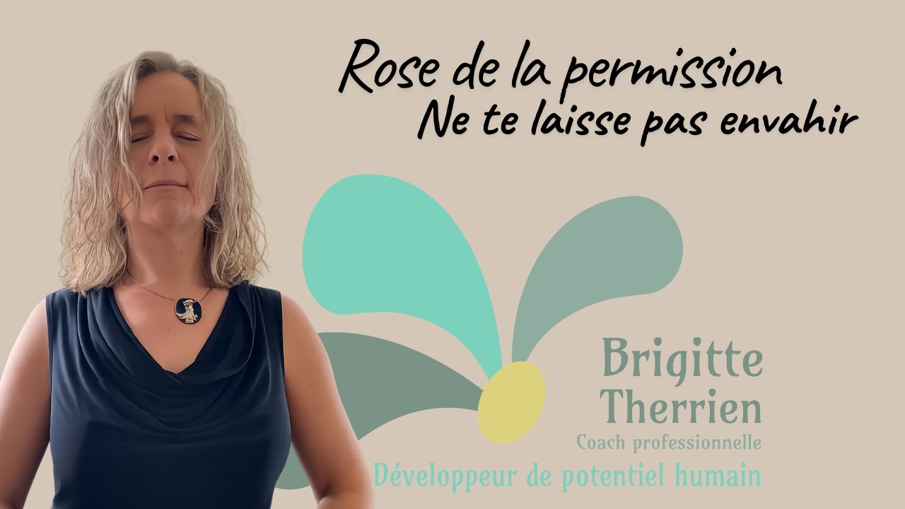 Visualisation de la Rose de la Permission