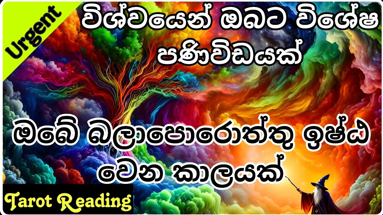 ඔබේ බලාපොරොත්තු ඉෂ්ඨ වෙයිද විශ්වයෙන් පණිවිඩයක් 