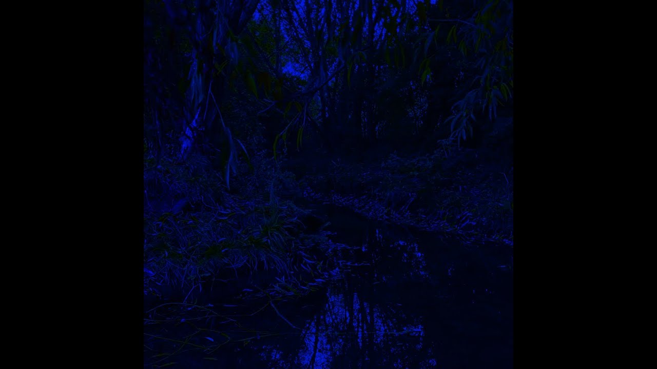 L1lly - Sleepless nights