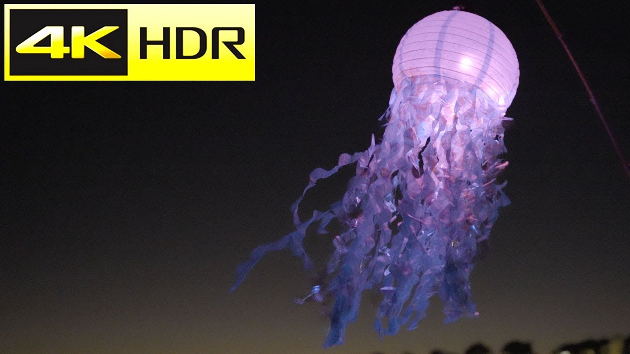 2024 Hilton Head Island Lantern Parade - 4K HDR