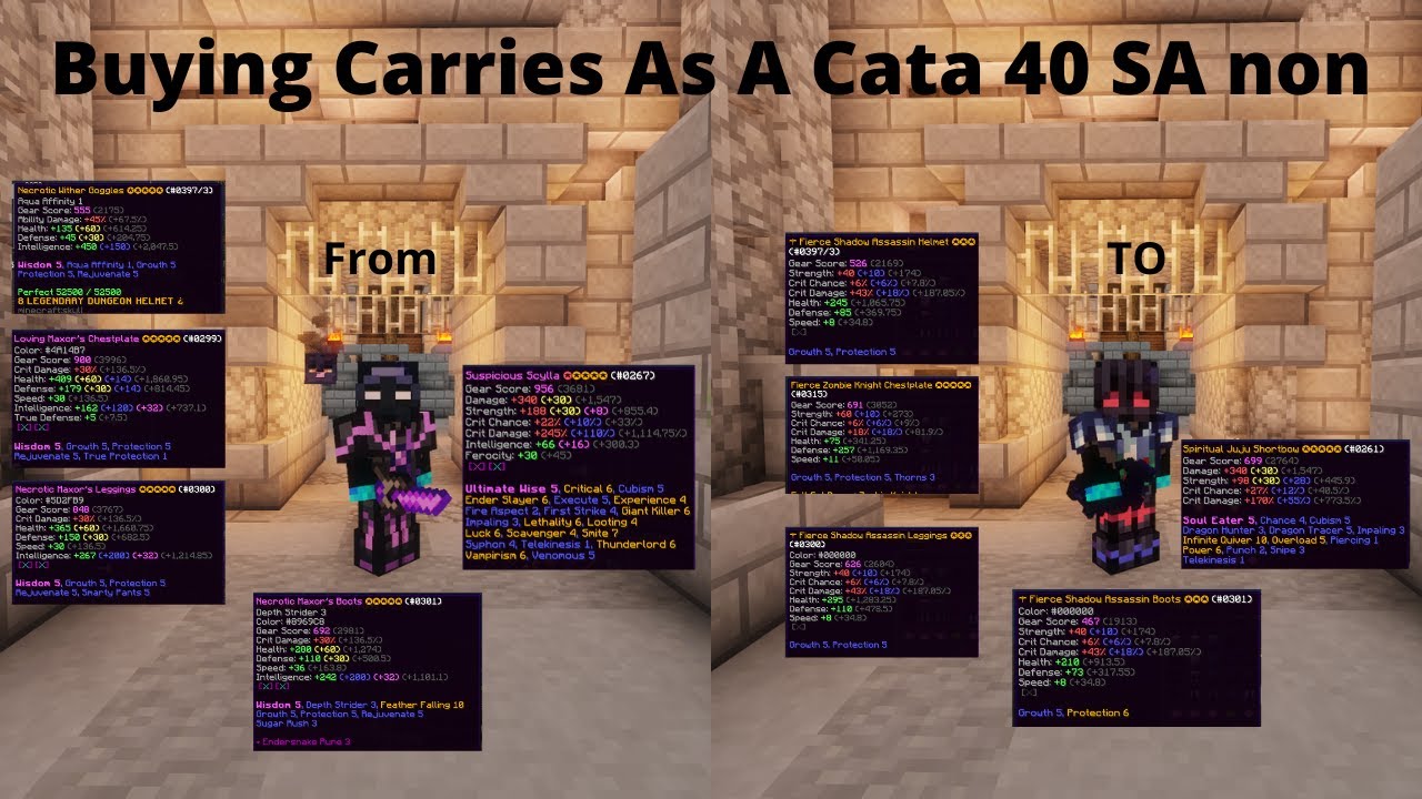 Buying Carries As A Cata 41! | Hypixel Syblock
