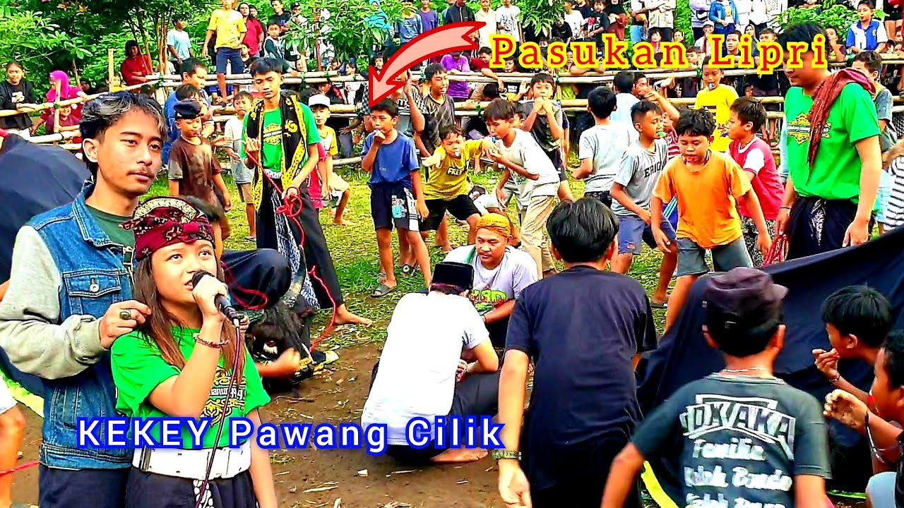 Mberot Playon Bareng Pasukan Lipri || Bantengan LEMBU BALAP Live Bamboo Mewek Tunjungsekar Lowokwaru