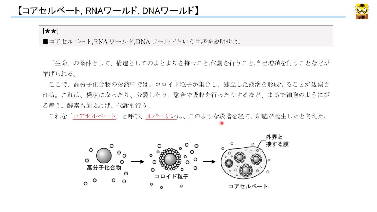 コアセルベート, RNAワールド, DNAワールド 【高校生物】