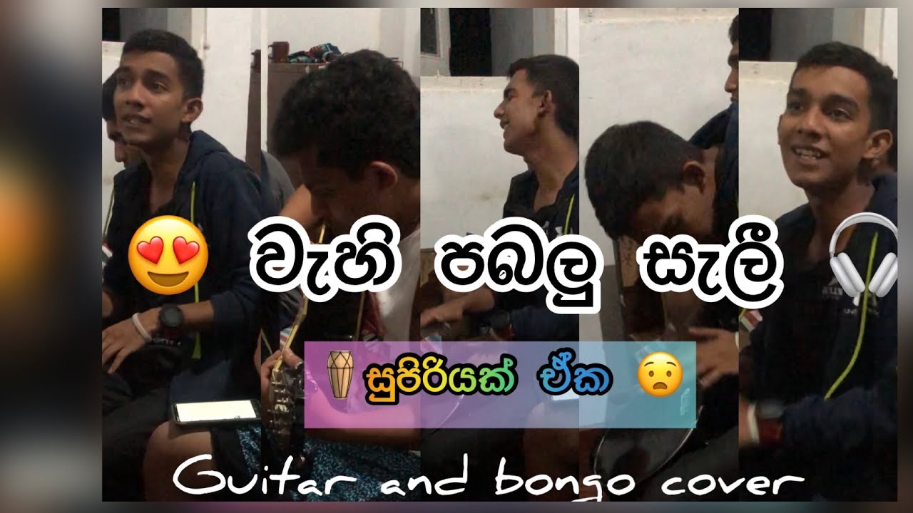 😍 වැහි පබලු සැලී @bodima_official775  අපේ රහට 🥰bongo and guitar cover 😇