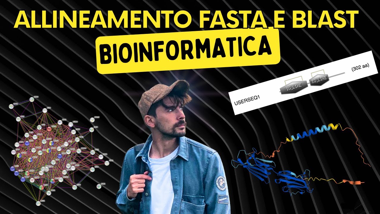 Allineamento BLAST e FASTA | Bioinformatica