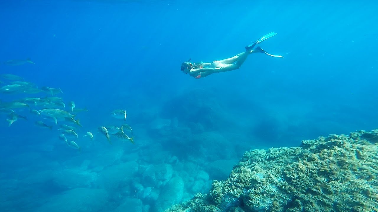 Réserve naturelle marine de Cerbère-Banyuls | Natural Marine Reserve of Cerbère-Banyuls