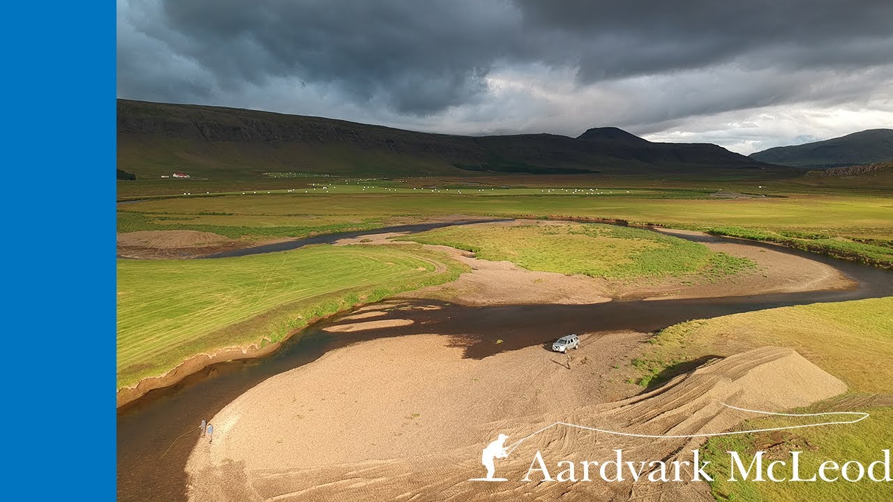 Fly Fishing the Laxa I Kjos River in Iceland 2019