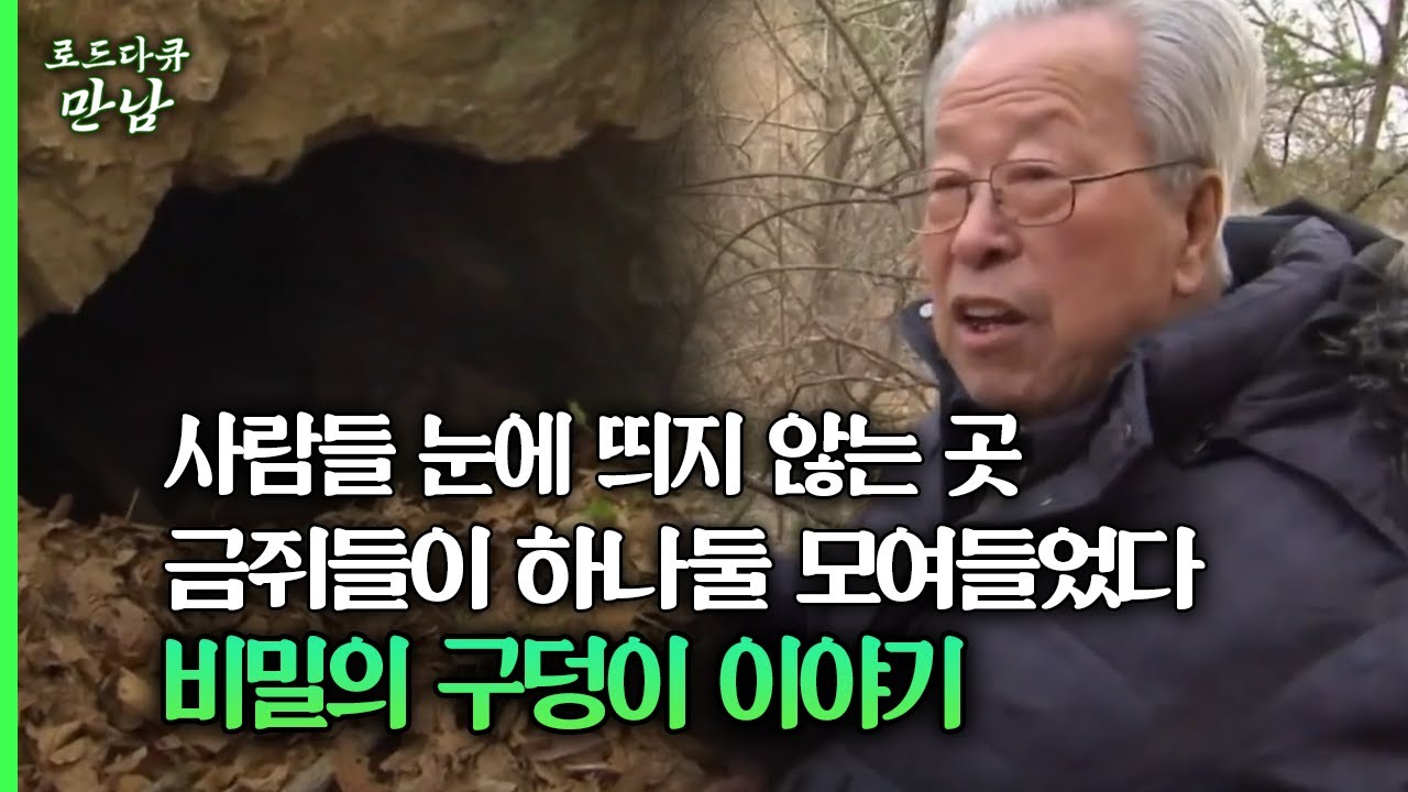 [로드다큐 만남 26회④] 사람들 눈에 띄지 않는 곳 금쥐들이 하나둘 모여들었다 비밀의 구덩이 이야기